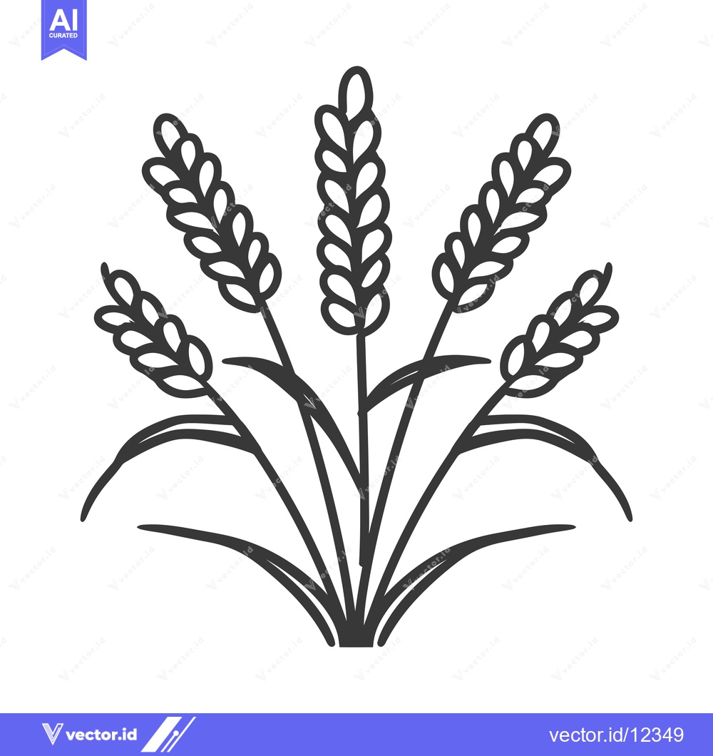 Premium Vector dari A cluster of five wheat stalks with long, narrow leaves and rounded gr
