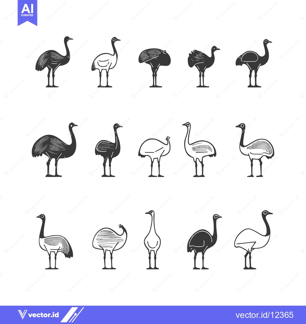 Premium Vector of A collection of 12 black and white stylized emu illustrations