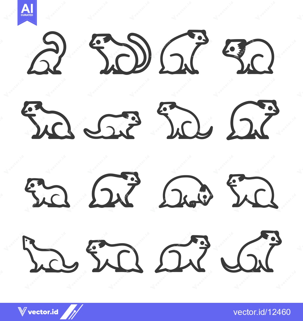 Premium Vector dari A Collection of 16 Line Art Illustrations of Ferrets in Various Poses
