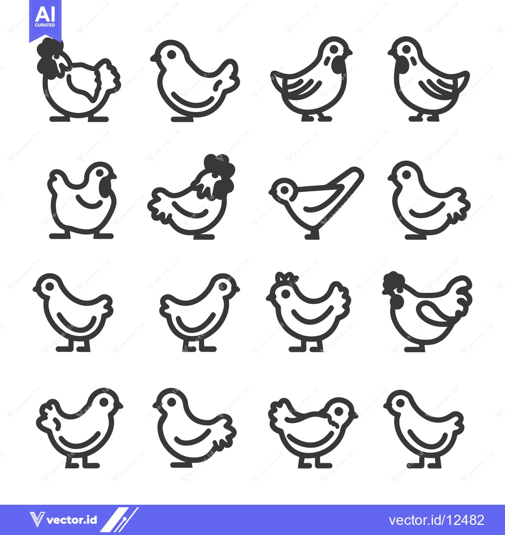 Premium Vector of A Collection of 16 Simple Line Drawings of Chickens and Roosters