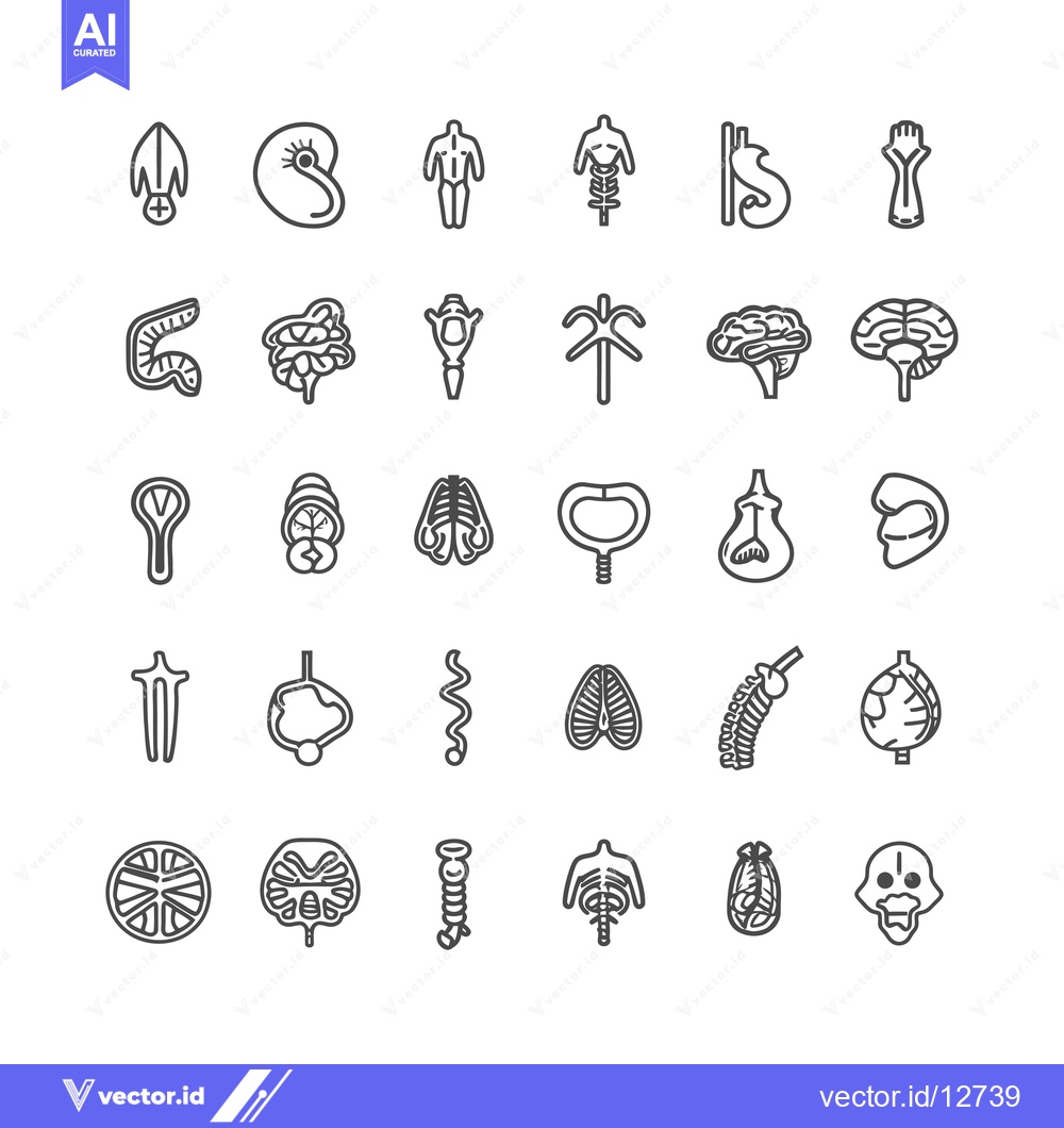 Premium Vector of A Collection of 30 Human Organ Outline Icons