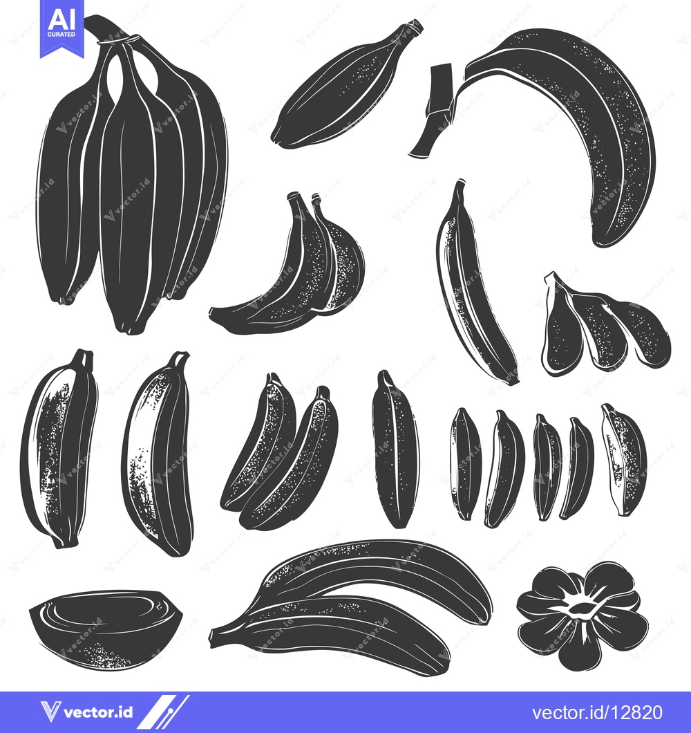 Premium Vector dari A Collection of Black and White Banana Illustrations