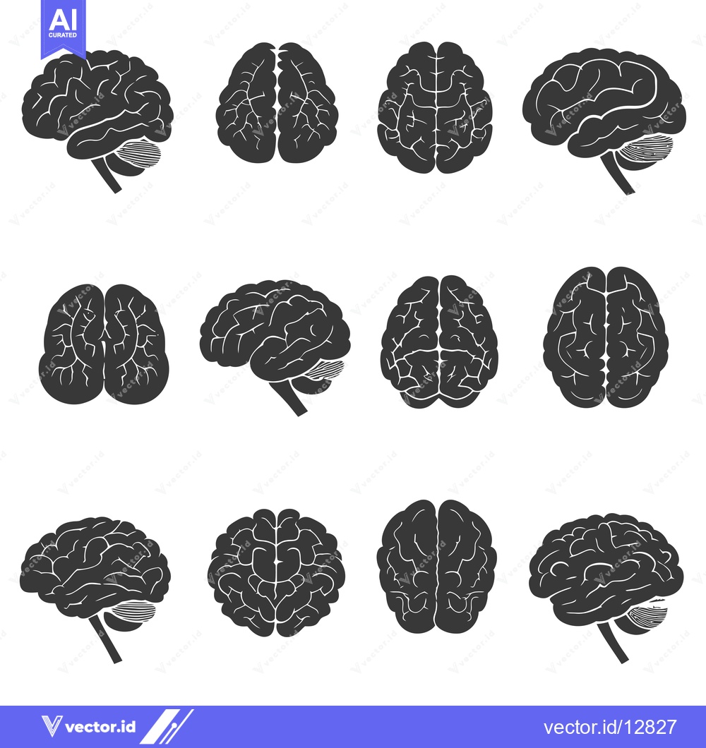 Premium Vector of A Collection of Black and White Brain Silhouettes