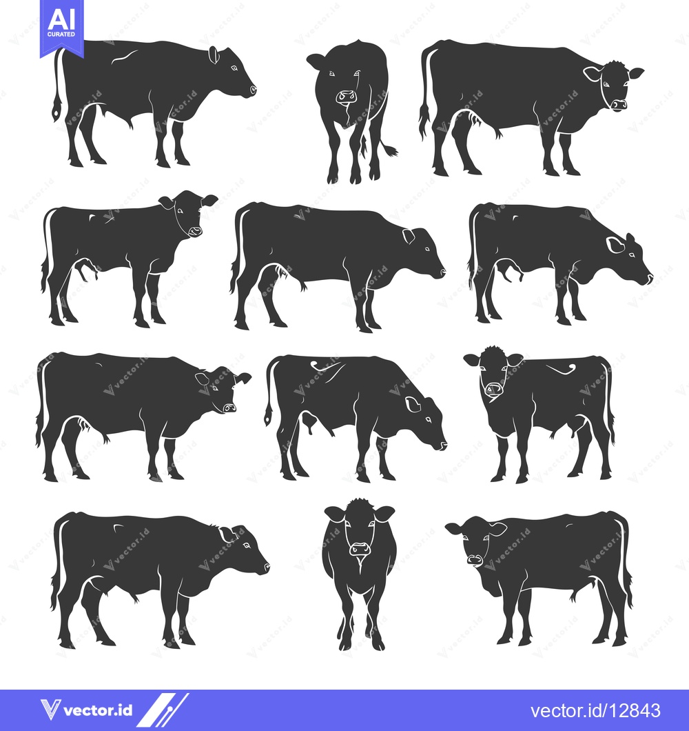 Premium Vector dari A Collection of Black and White Cow Silhouettes in Various Poses