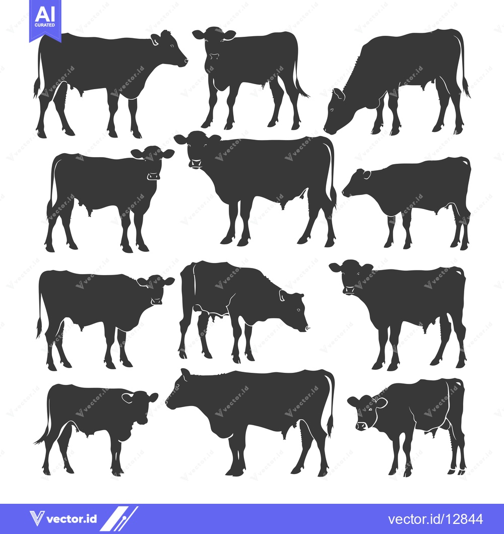 Premium Vector dari A Collection of Black and White Cow Silhouettes in Various Poses