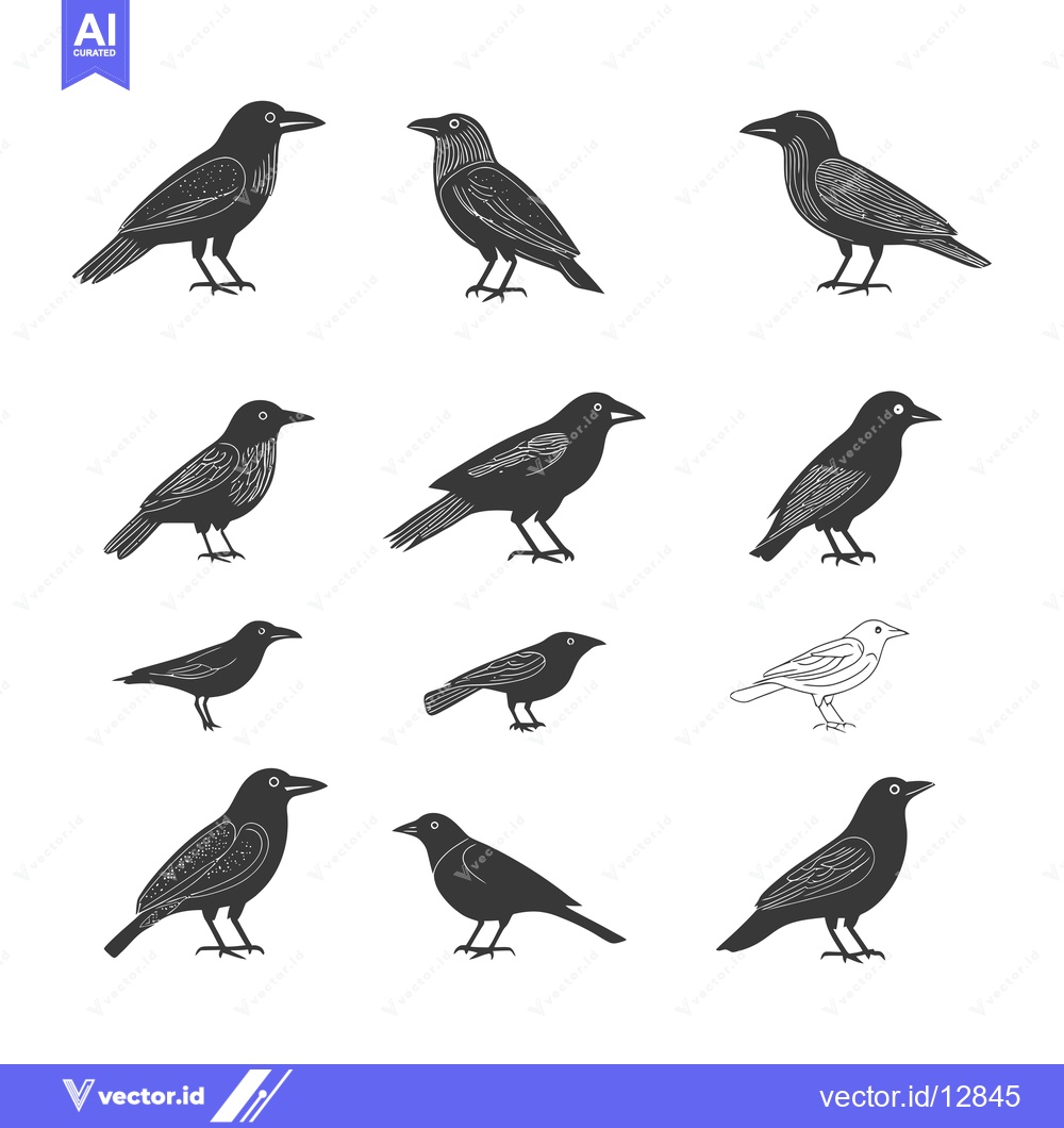 Premium Vector dari A Collection of Black and White Crow Illustrations