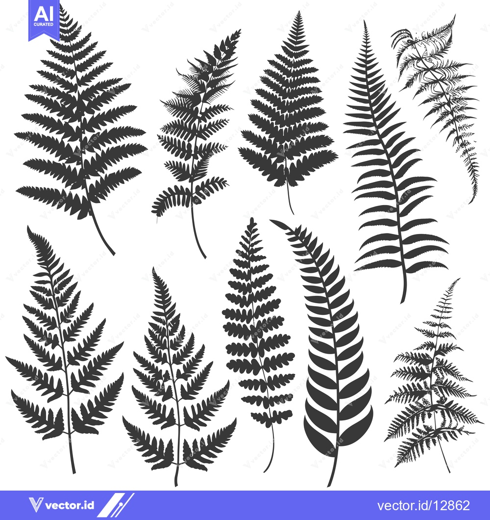 Premium Vector of A Collection of Black and White Fern Leaf Silhouettes