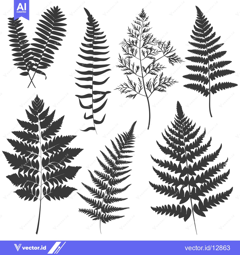 Premium Vector of A Collection of Black and White Fern Leaf Silhouettes
