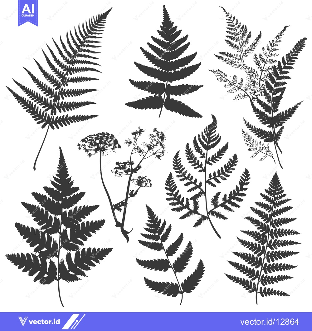 Premium Vector of A Collection of Black and White Fern Silhouettes