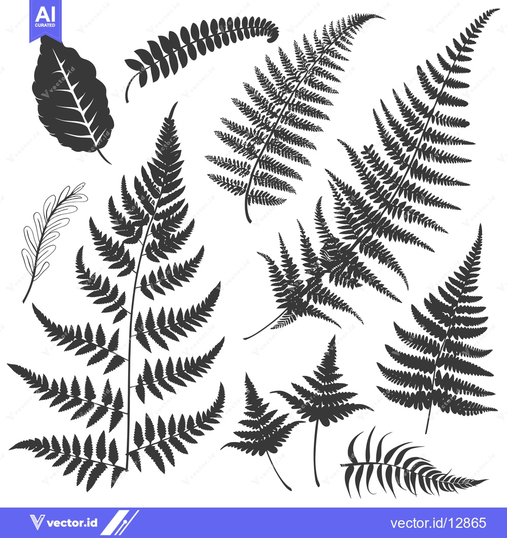 Premium Vector of A Collection of Black and White Fern Silhouettes