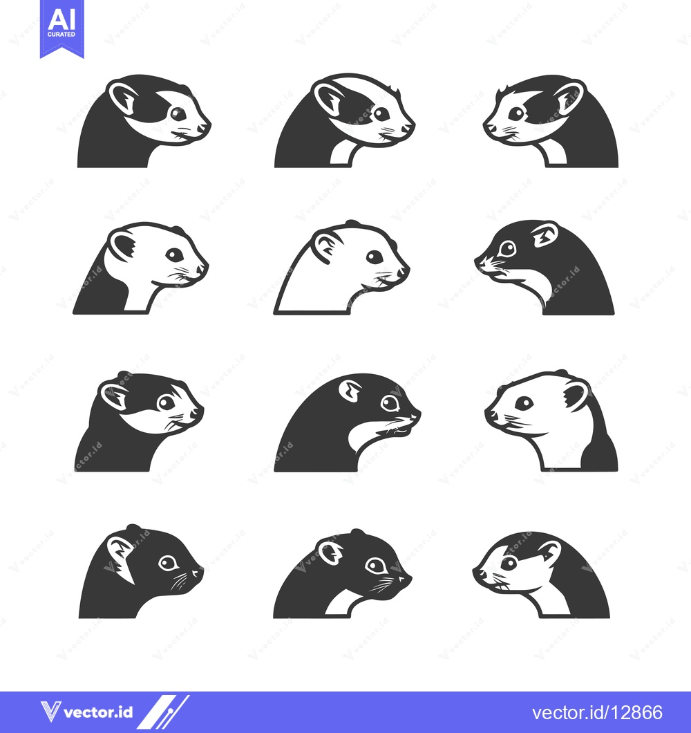 Premium Vector dari A Collection of Black and White Ferret Head Illustrations