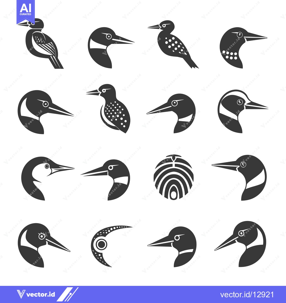 Premium Vector of A Collection of Black and White Kingfisher Bird Illustrations