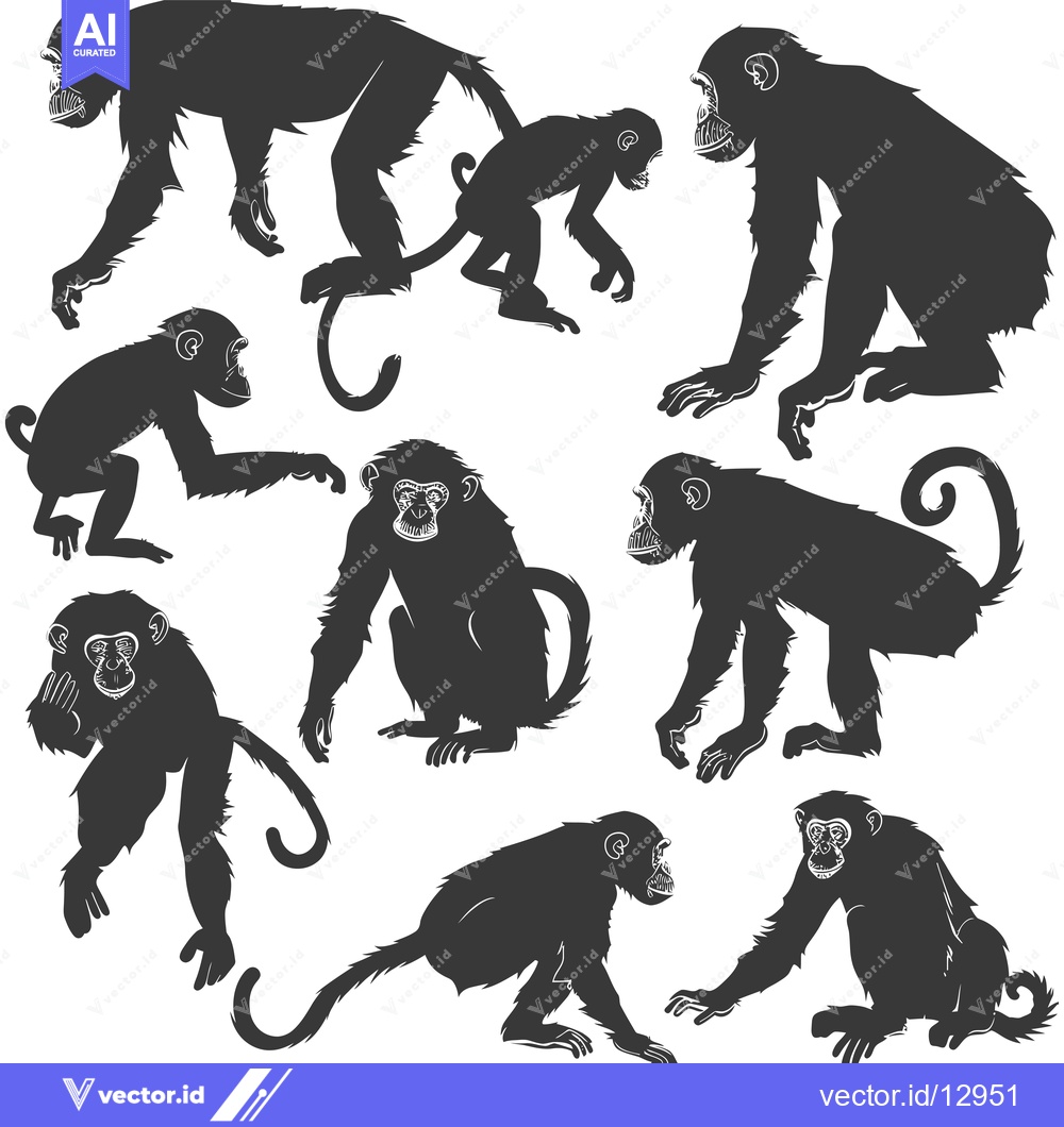 Premium Vector of A Collection of Black and White Monkey Silhouettes in Various Poses