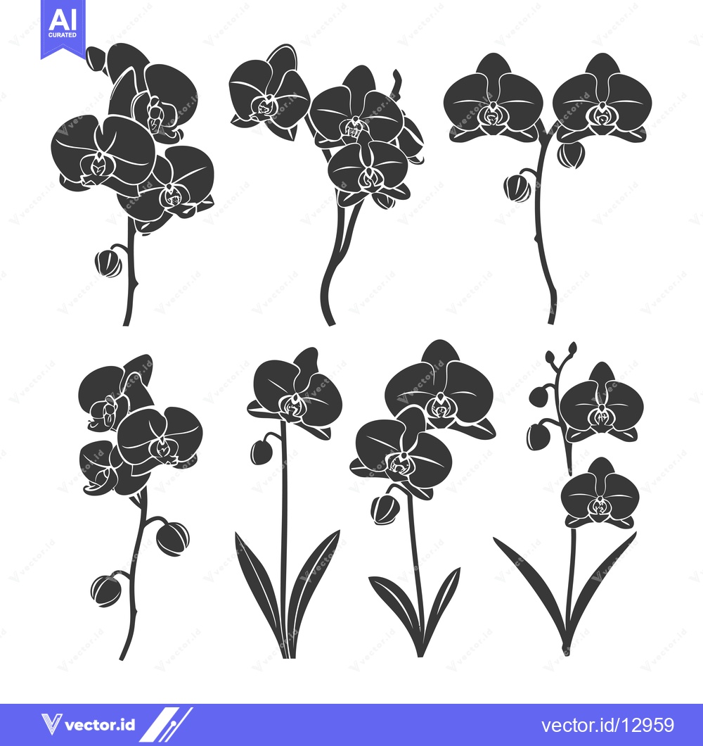 Premium Vector of A Collection of Black and White Orchid Flower Silhouettes