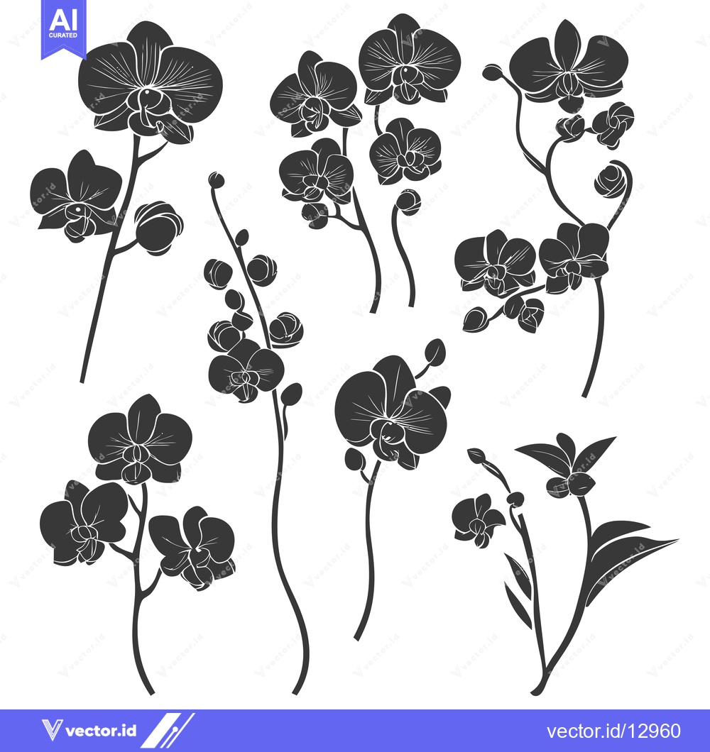 Premium Vector of A Collection of Black and White Orchid Flower Silhouettes