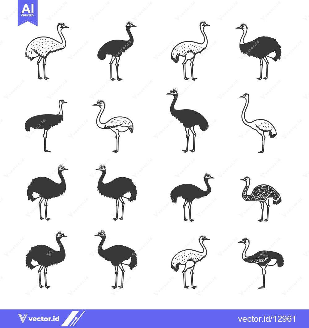 Premium Vector dari A Collection of Black and White Ostrich Illustrations