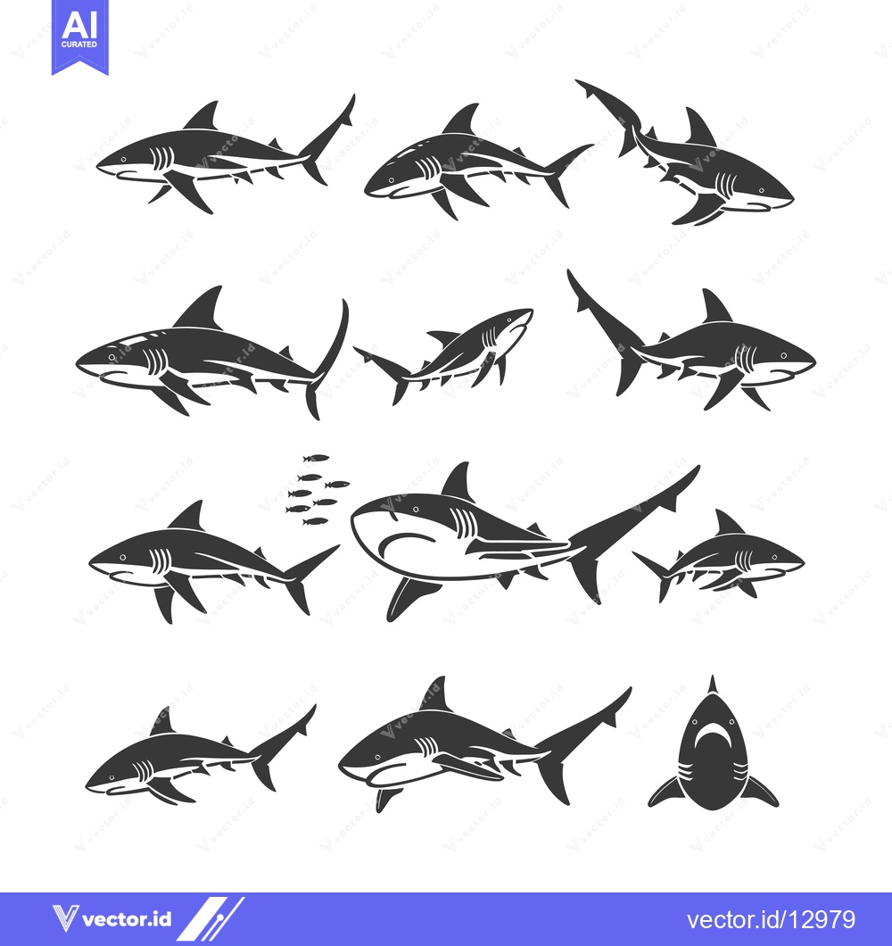 Premium Vector dari A Collection of Black and White Shark Silhouettes in Various Poses