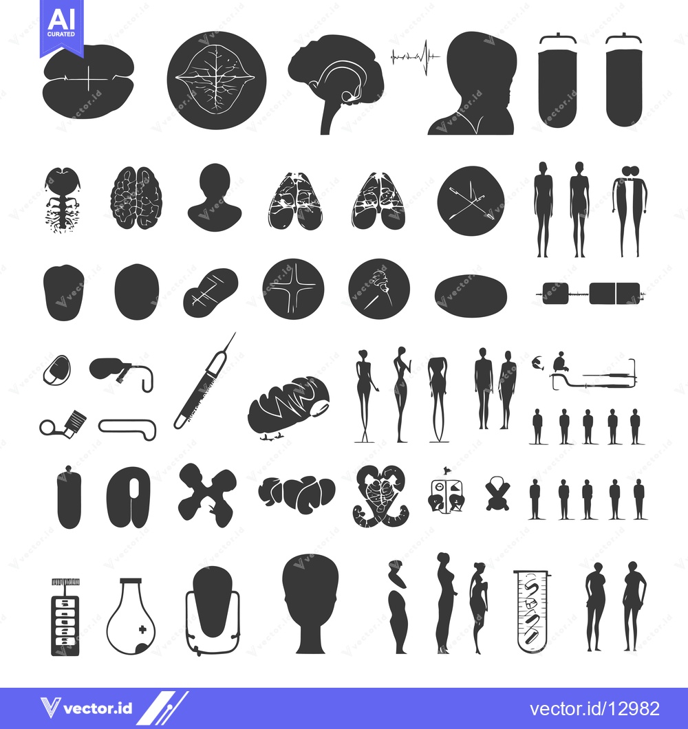 Premium Vector dari A Collection of Black and White Silhouettes Depicting Human Anatomy an