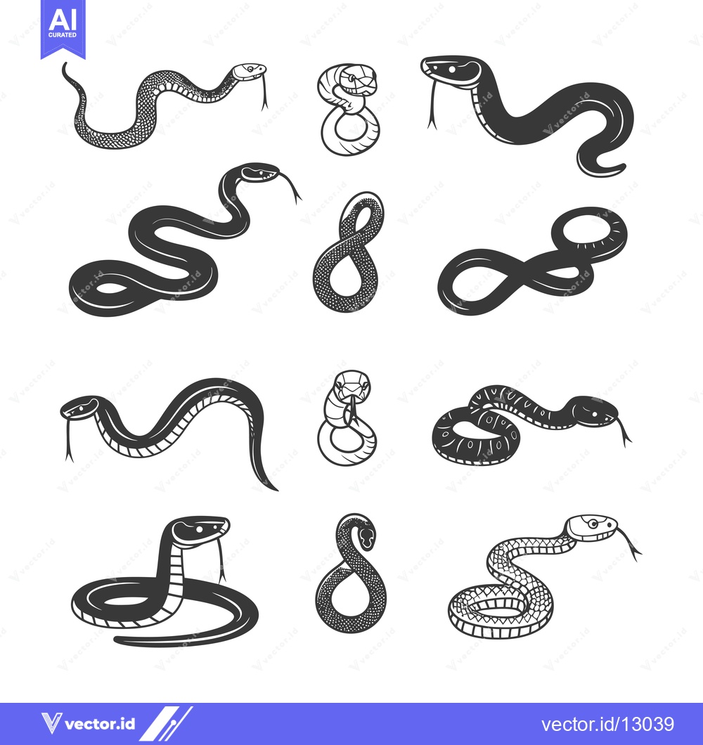 Premium Vector dari A Collection of Black and White Snake Illustrations
