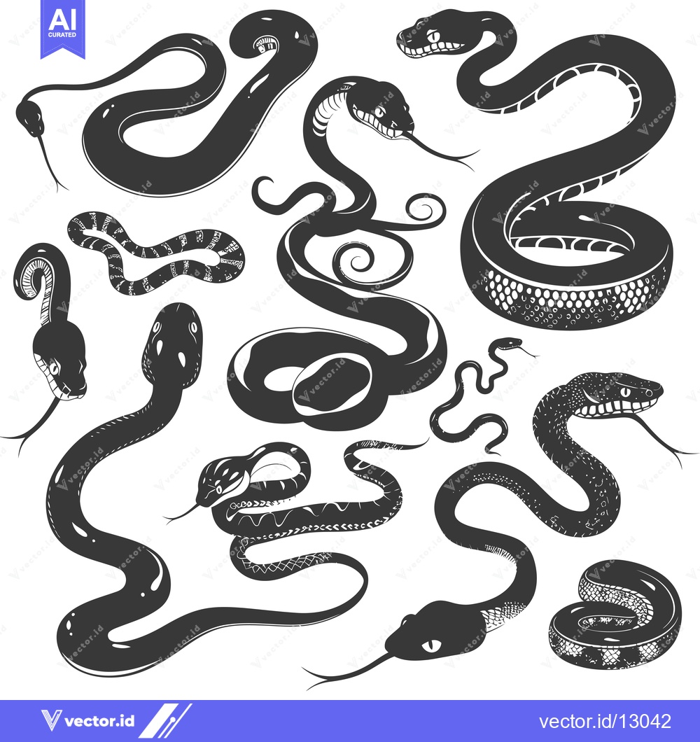 Premium Vector dari A Collection of Black and White Snake Silhouettes