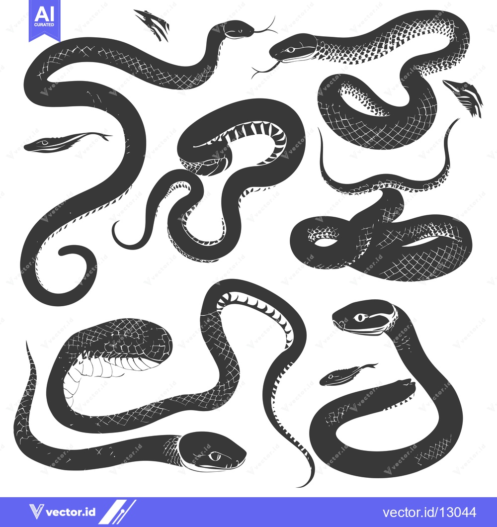 Premium Vector of A Collection of Black and White Snake Silhouettes