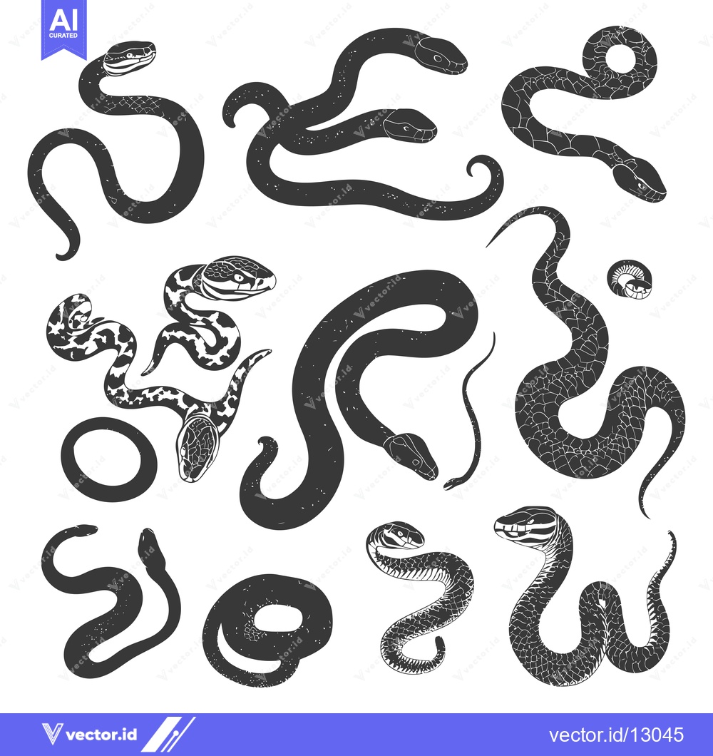 Premium Vector of A Collection of Black and White Snake Silhouettes