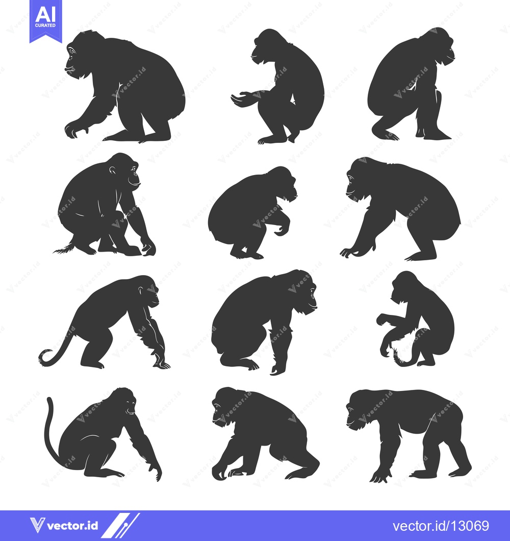 Premium Vector of A Collection of Black Chimpanzee Silhouettes in Various Poses
