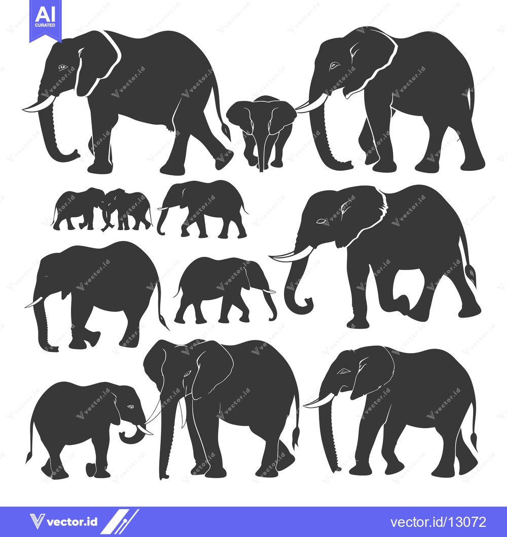 Premium Vector dari A Collection of Black Elephant Silhouettes in Various Poses