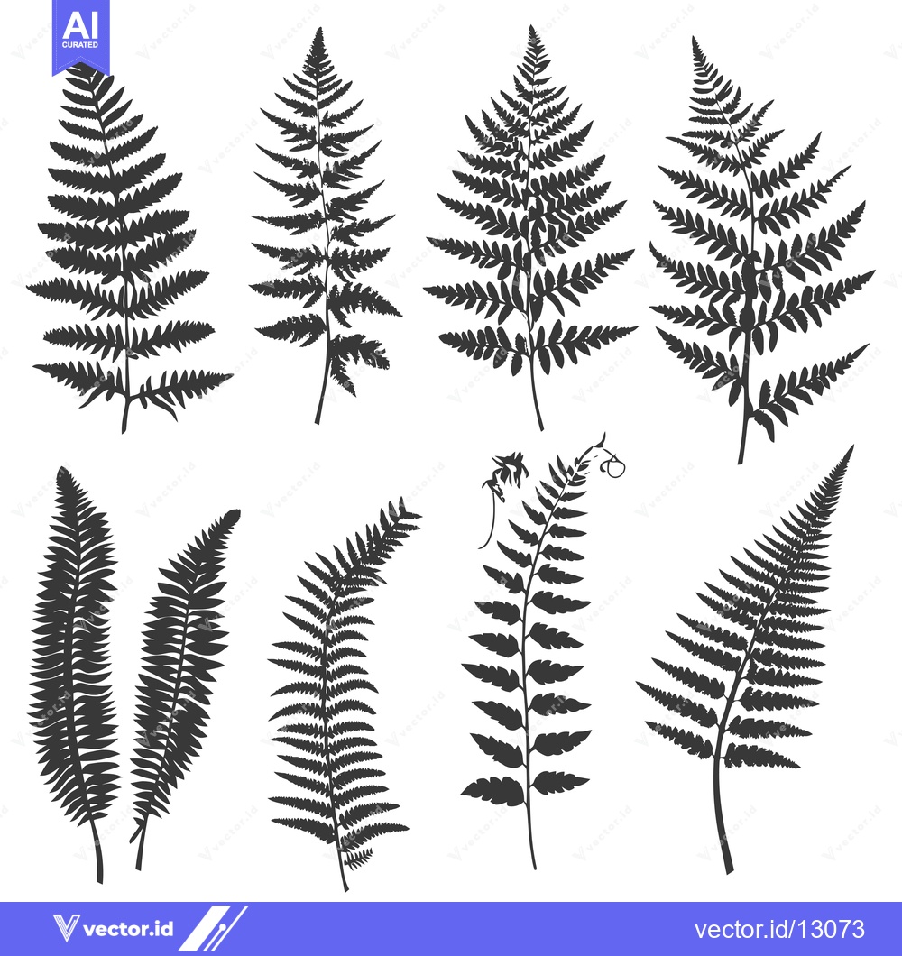 Premium Vector dari A Collection of Black Fern Silhouettes on a White Background