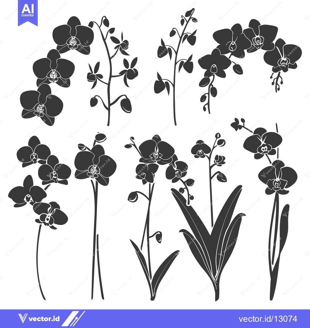 Premium Vector dari A Collection of Black Orchid Flower Silhouettes