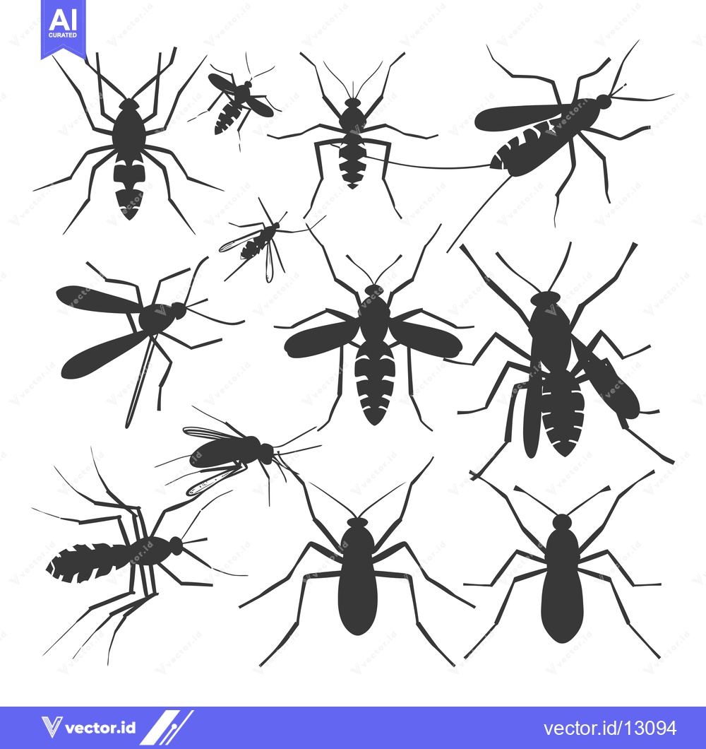 Premium Vector dari A Collection of Black Silhouettes of Mosquitoes