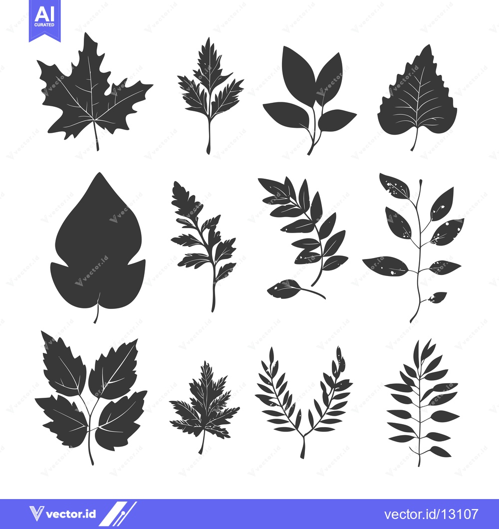 Premium Vector dari A Collection of Black Silhouettes of Various Leaf Shapes