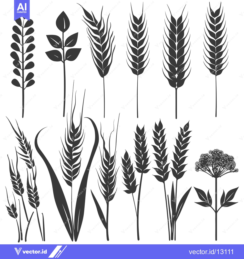 Premium Vector dari A Collection of Black Silhouettes of Various Types of Grass and Plants