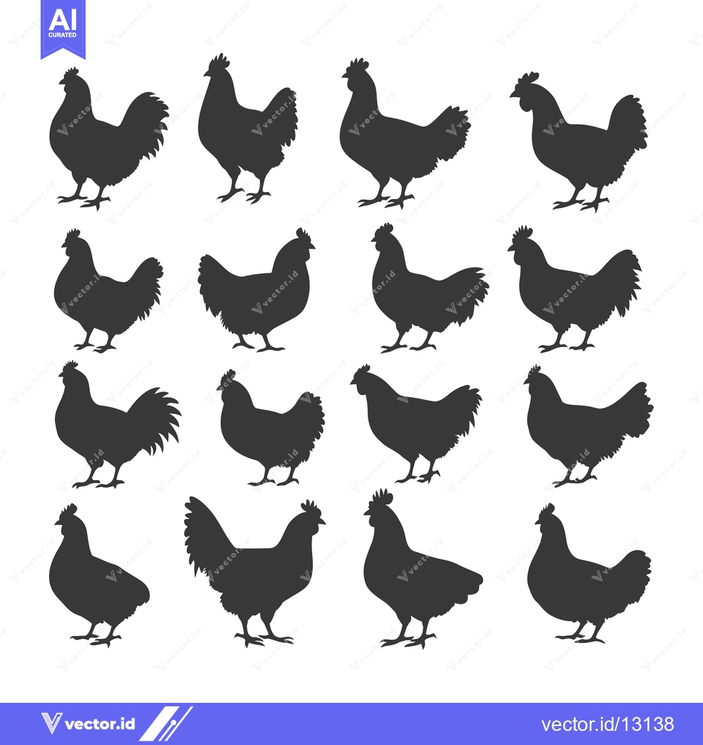 Premium Vector dari A Collection of Chicken Silhouettes in Various Poses