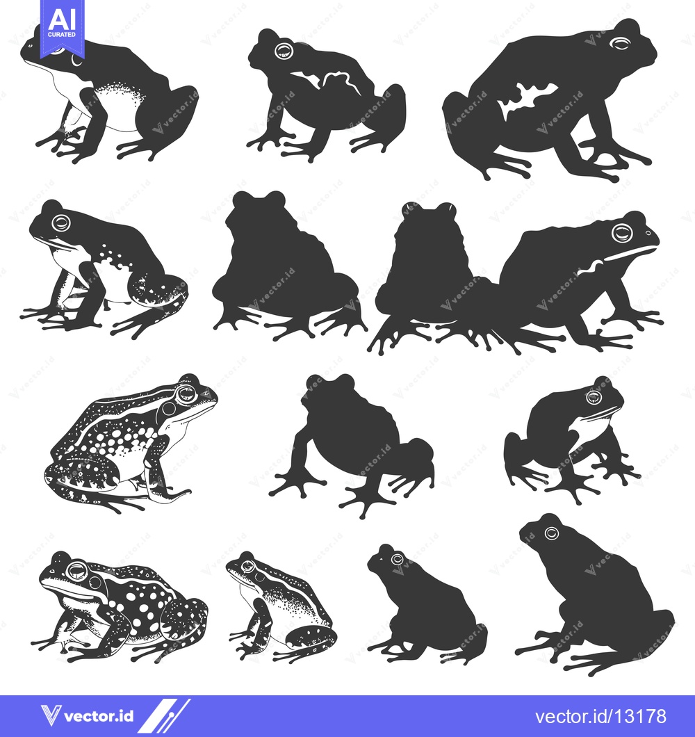 Premium Vector dari A Collection of Detailed Frog Silhouettes in Various Poses