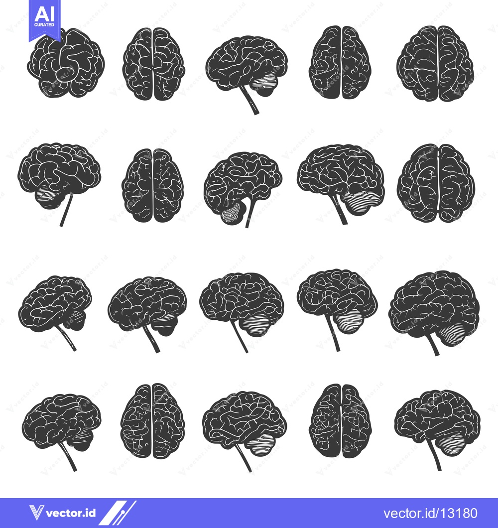 Premium Vector of A Collection of Detailed Human Brain Illustrations in Different Views