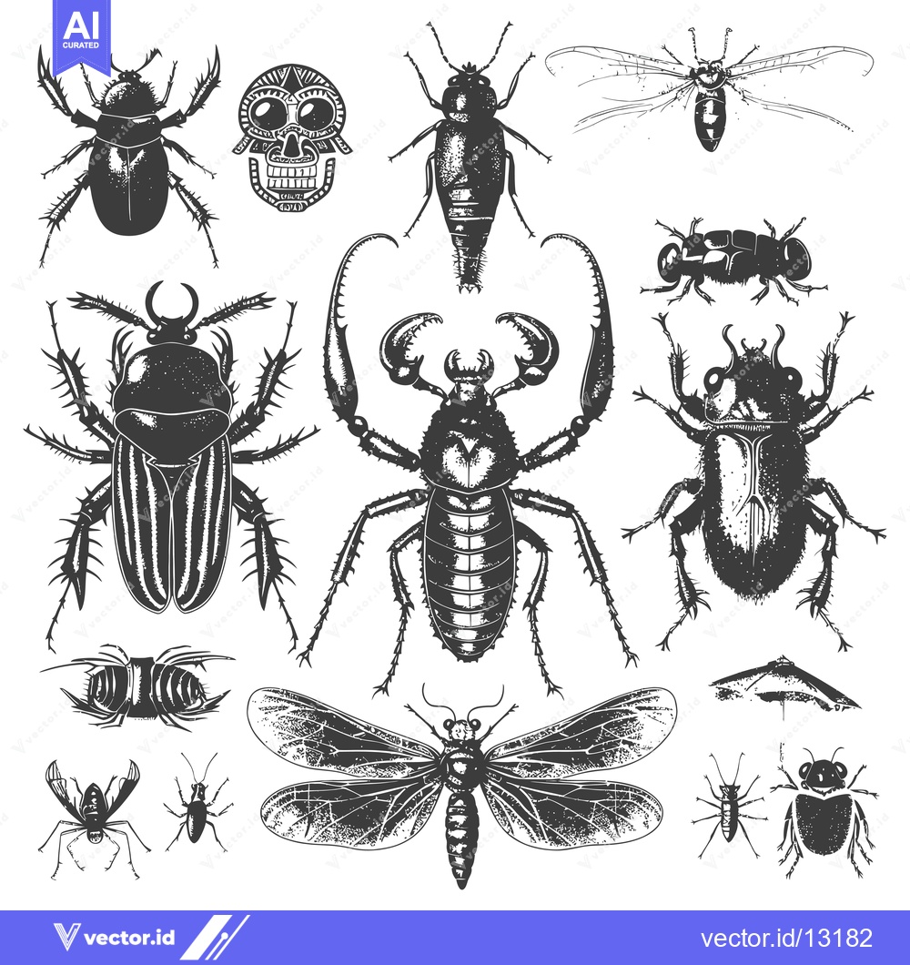 Premium Vector of A Collection of Detailed Ink Drawings of Insects
