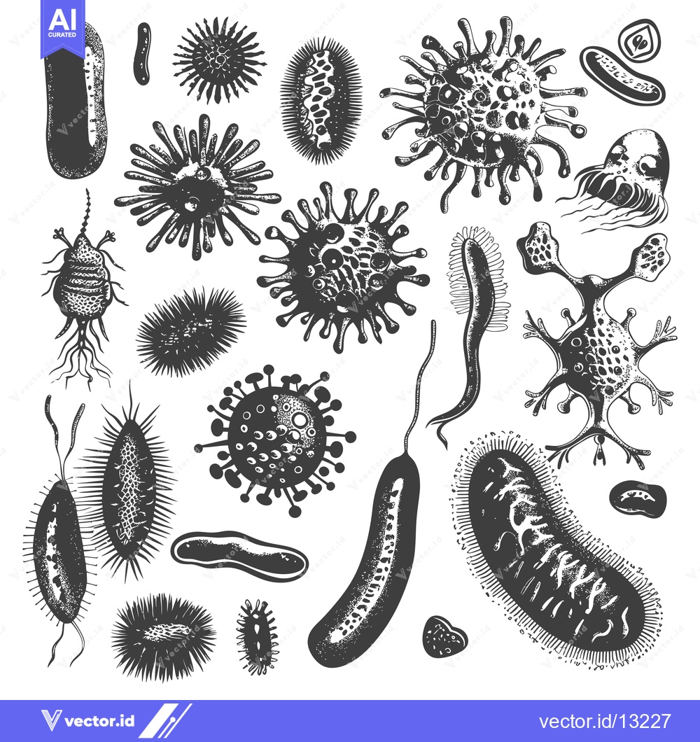 Premium Vector dari A Collection of Diverse Microorganisms, Hand-Drawn in Black and White