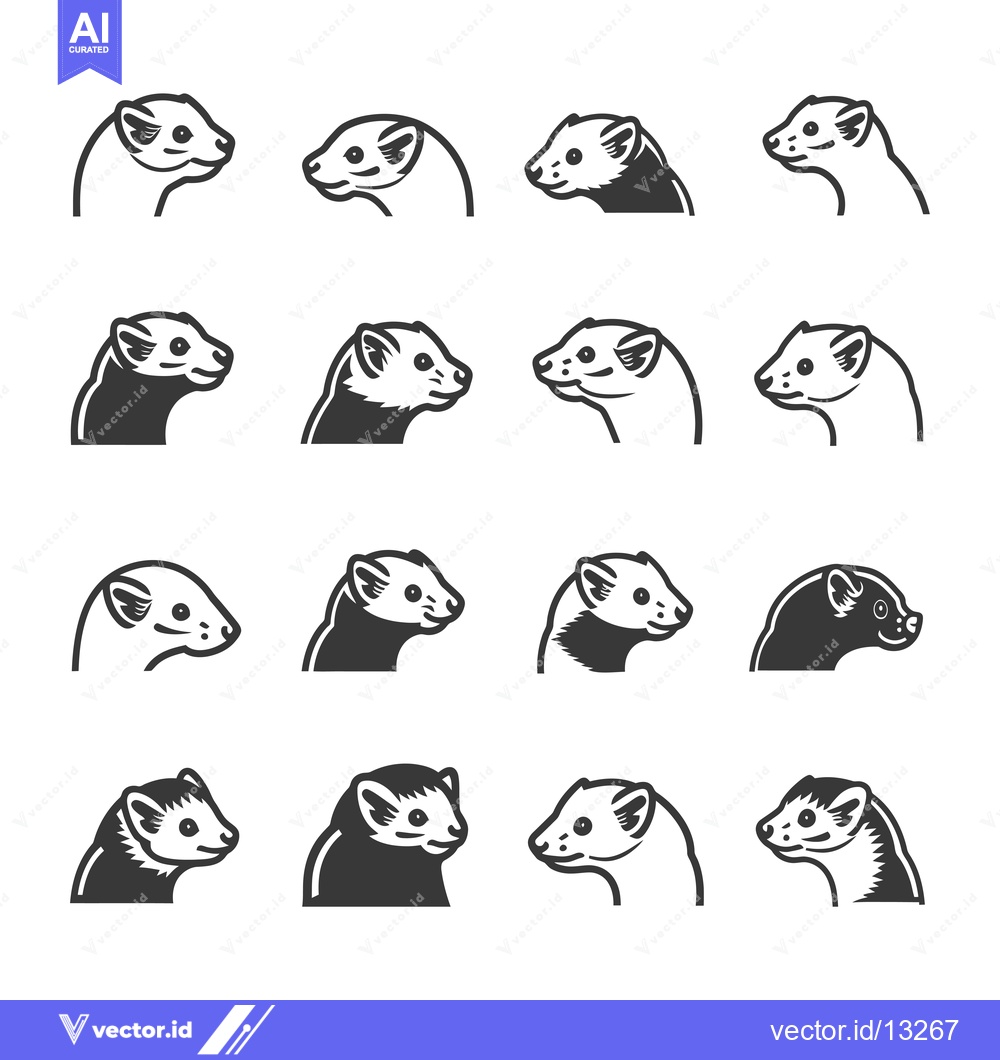 Premium Vector dari A Collection of Ferret Head Illustrations in Various Styles