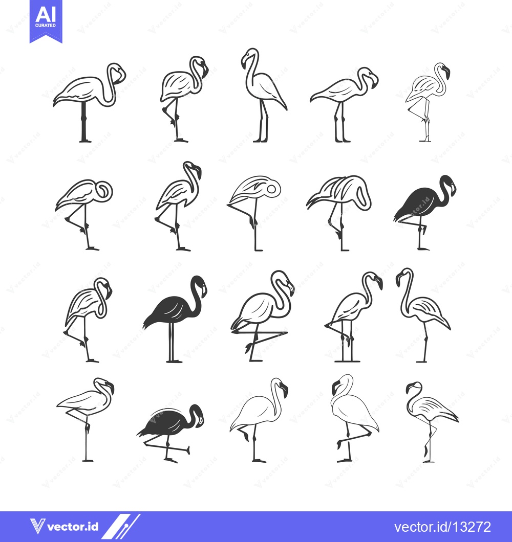 Premium Vector of A Collection of Flamingo Illustrations in Various Poses