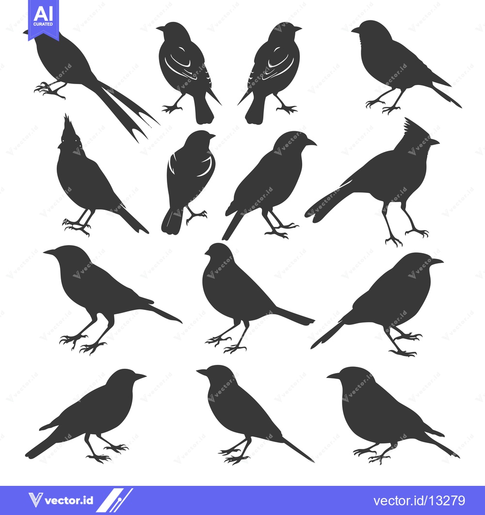 Premium Vector dari A Collection of Fourteen Bird Silhouettes