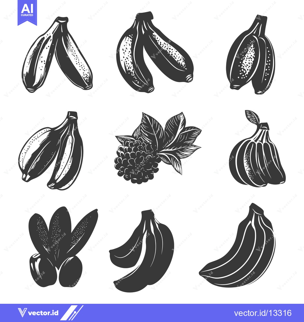 Premium Vector dari A Collection of Hand-Drawn Black and White Banana Illustrations