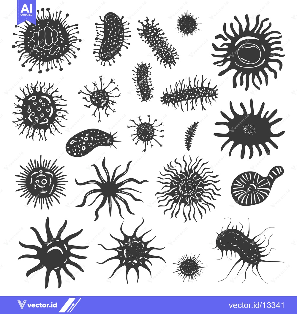 Premium Vector dari A Collection of Hand-Drawn Black and White Microorganisms
