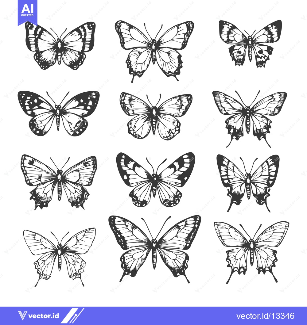 Premium Vector dari A Collection of Hand-Drawn Butterfly Illustrations