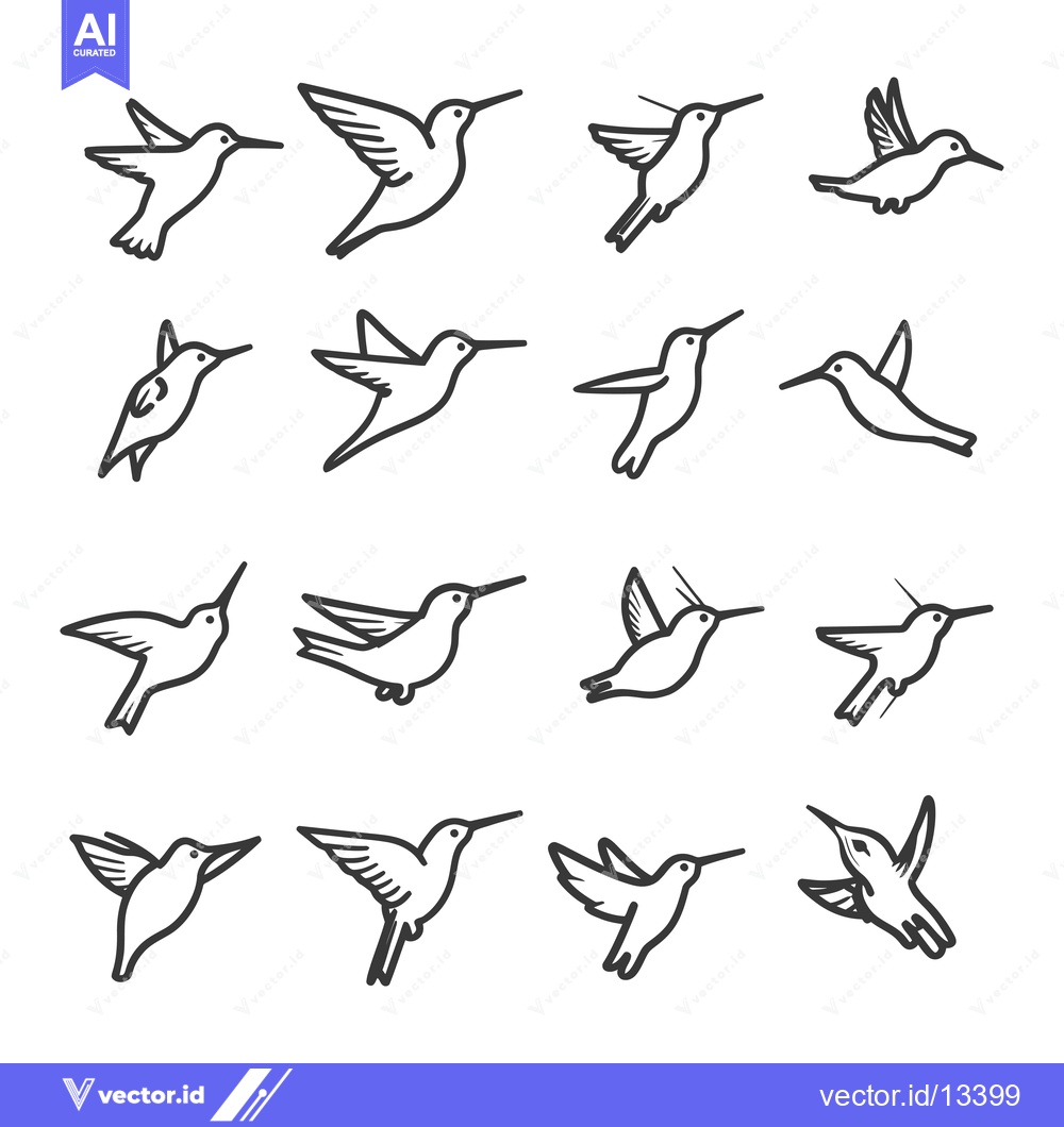 Premium Vector of A Collection of Hand-Drawn Hummingbird Illustrations in Various Flying