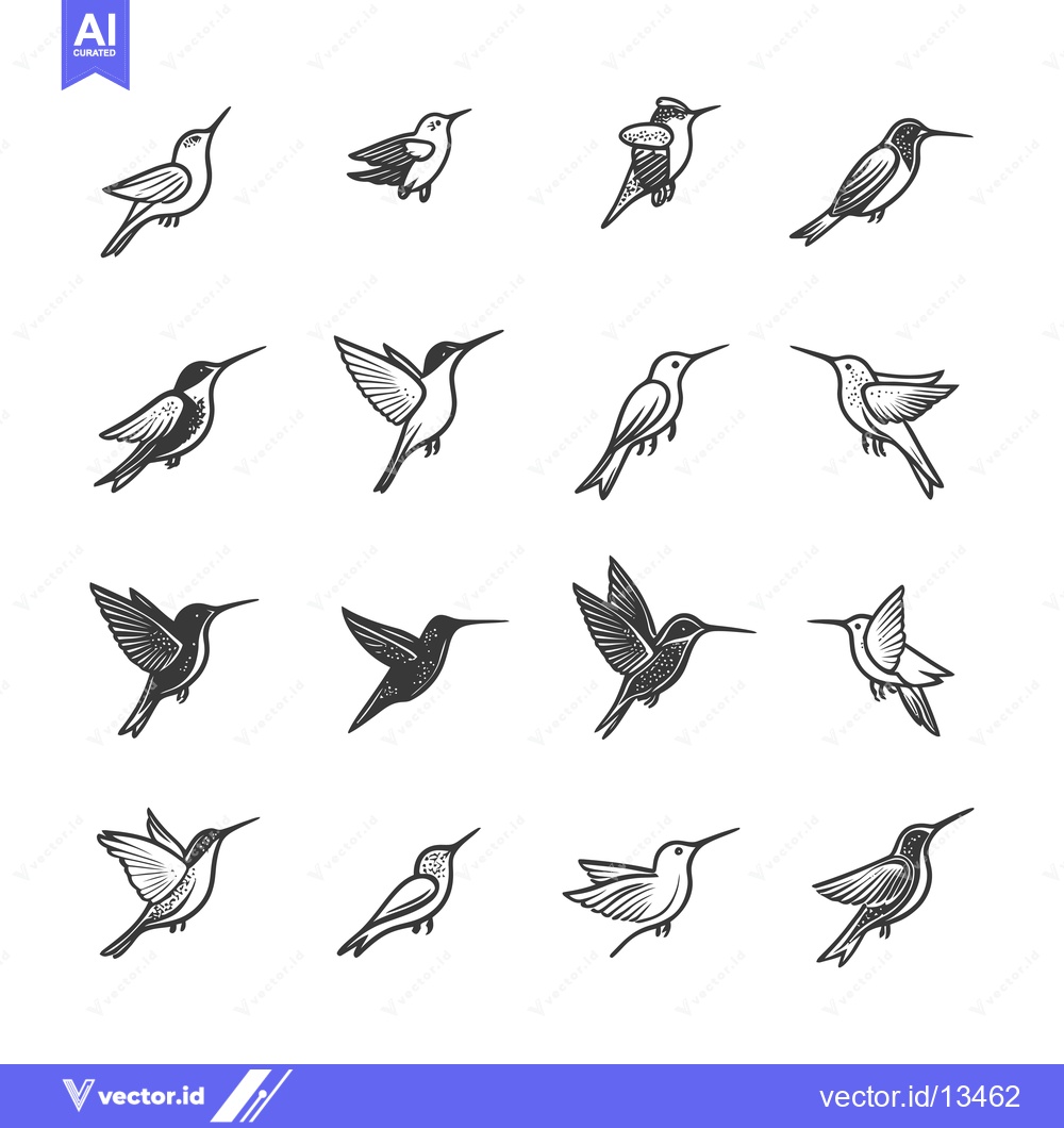 Premium Vector dari A Collection of Hummingbird Sketches in Flight and Perched Positions