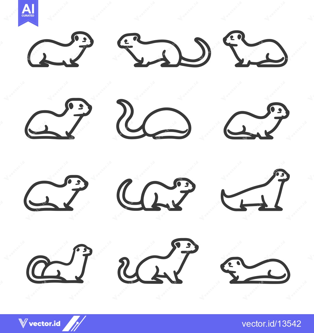 Premium Vector dari A Collection of Line Drawings Depicting Ferrets in Various Poses