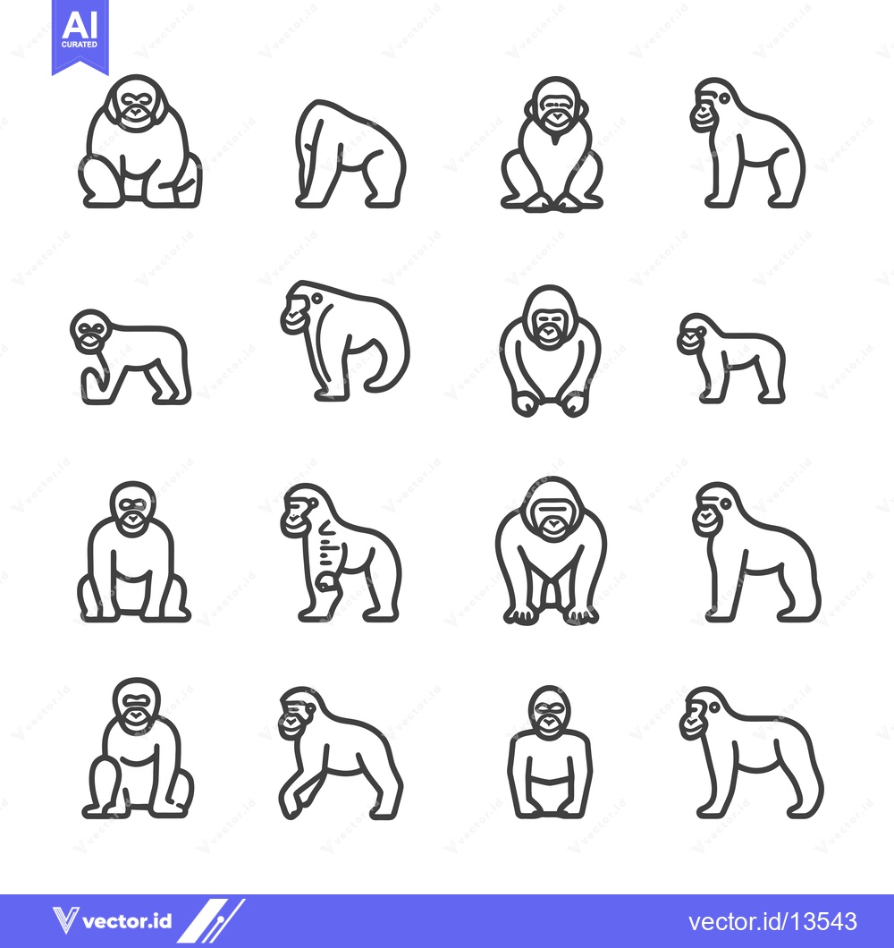 Premium Vector of A Collection of Line Drawings Depicting Gorilla Poses