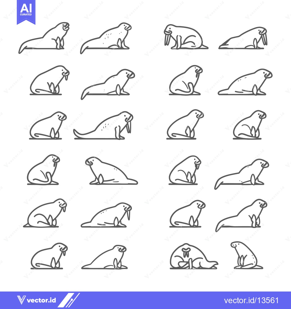 Premium Vector dari A Collection of Line Drawings Depicting Walruses in Various Poses