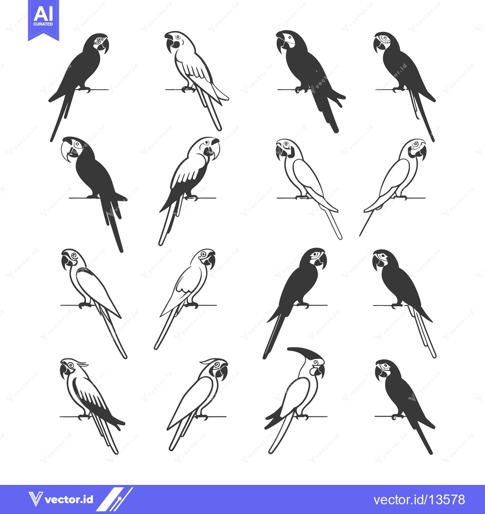 Premium Vector of A Collection of Macaw Parrot Silhouettes in Different Poses